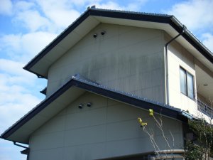 変色した壁の例