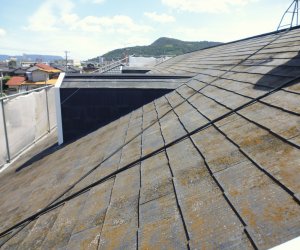 屋根塗装が必要な状態の例